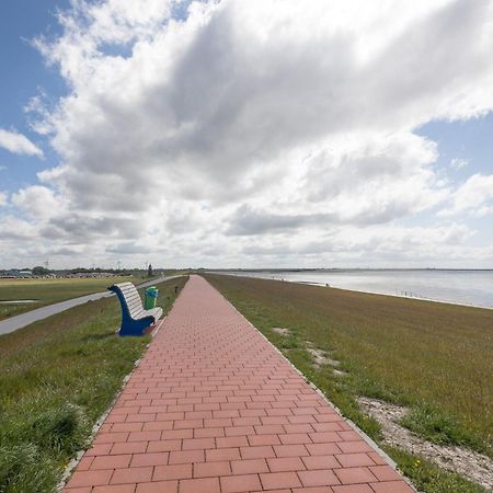 Direkt am Deich - Ferienwohnung Amrum im Gästehaus Am Badedeich Dagebüll Exterior foto