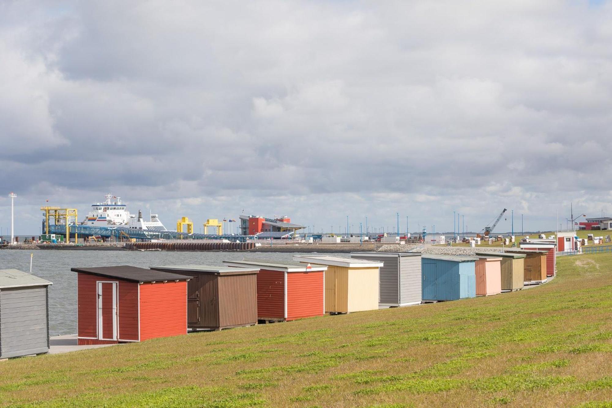Direkt am Deich - Ferienwohnung Amrum im Gästehaus Am Badedeich Dagebüll Exterior foto