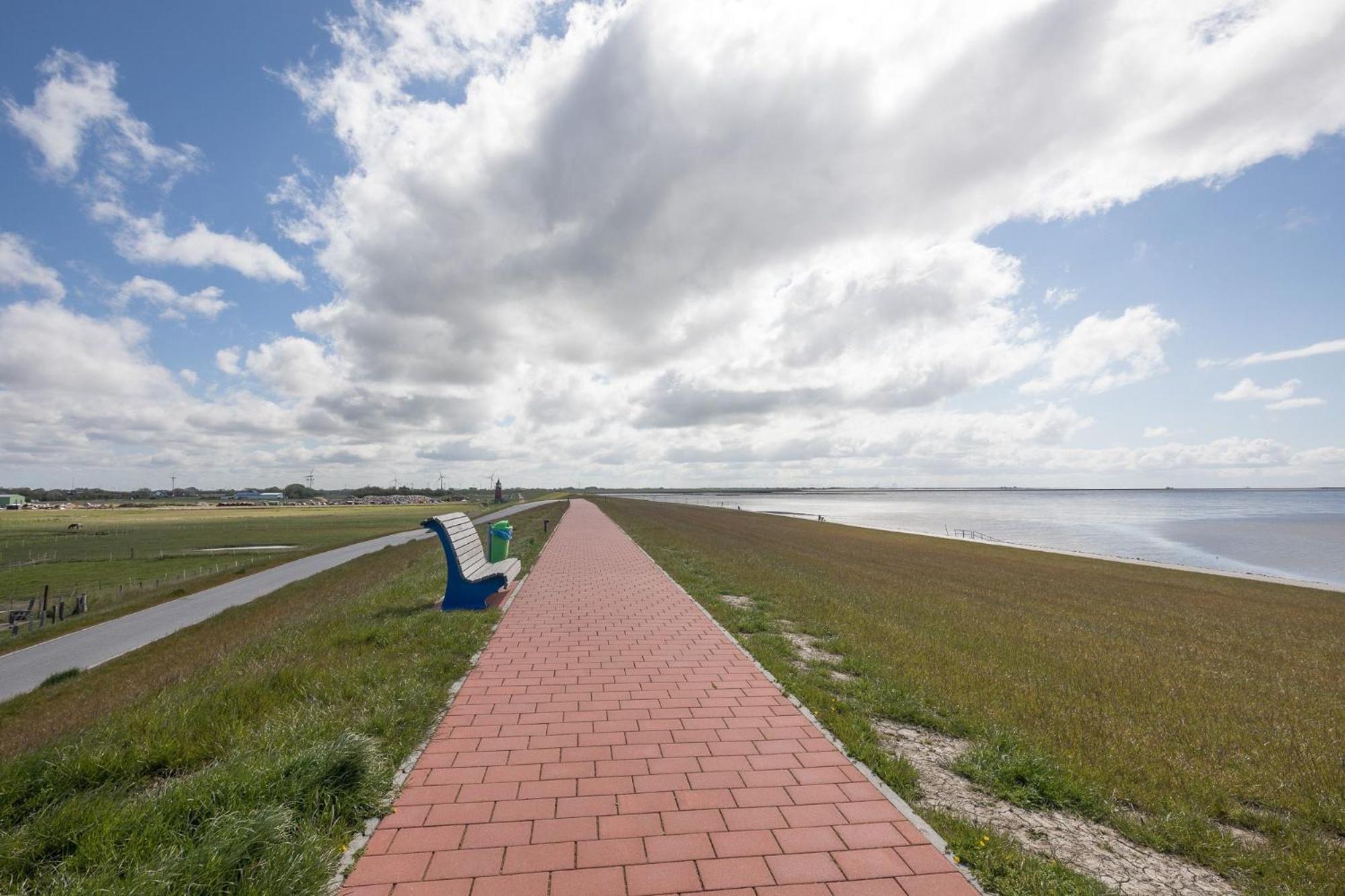 Direkt am Deich - Ferienwohnung Amrum im Gästehaus Am Badedeich Dagebüll Exterior foto